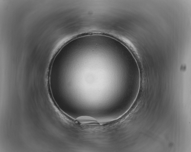 X0000096191183200802011400