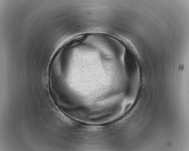 X0000096191184200802011400