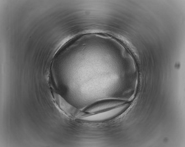 X0000096191185200802011400