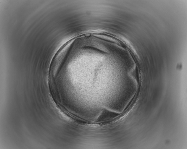 X0000096191186200802011400