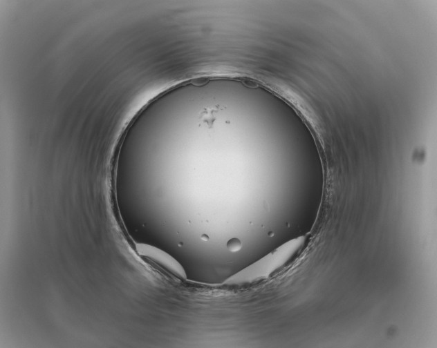 X0000096191187200802011400