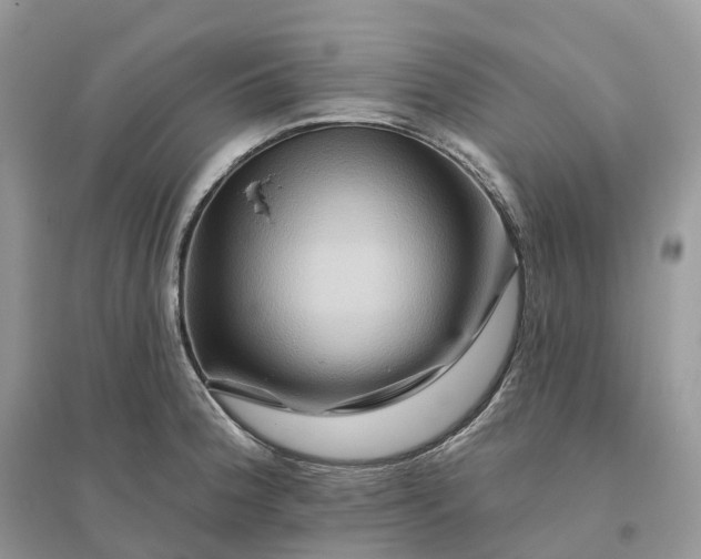 X0000096191188200802011400