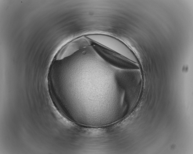 X0000096191189200802011400