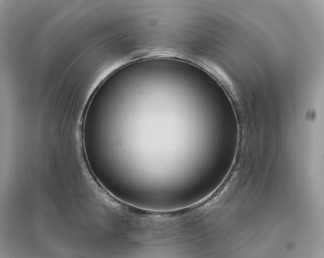 X0000096191190200802011400