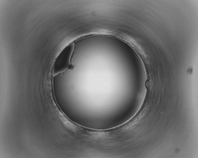 X0000096191192200802011400