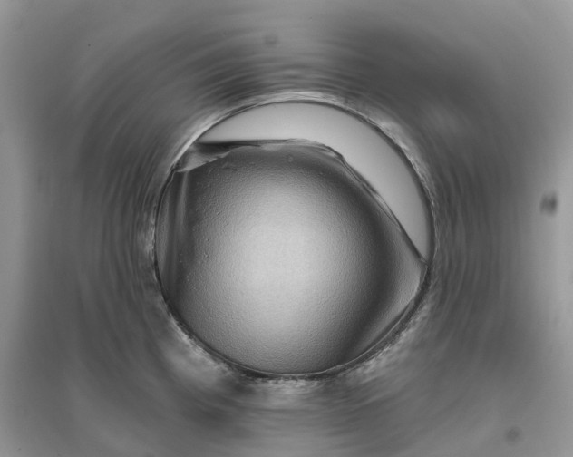 X0000096191193200802011400