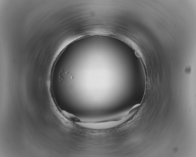 X0000096191195200802011400