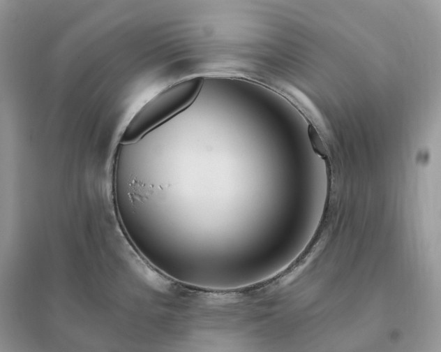 X0000096191196200802011400