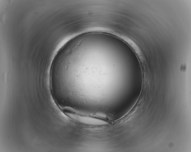 X0000096191199200802011400