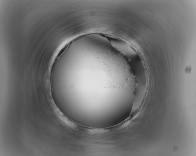 X0000096191200200802011400