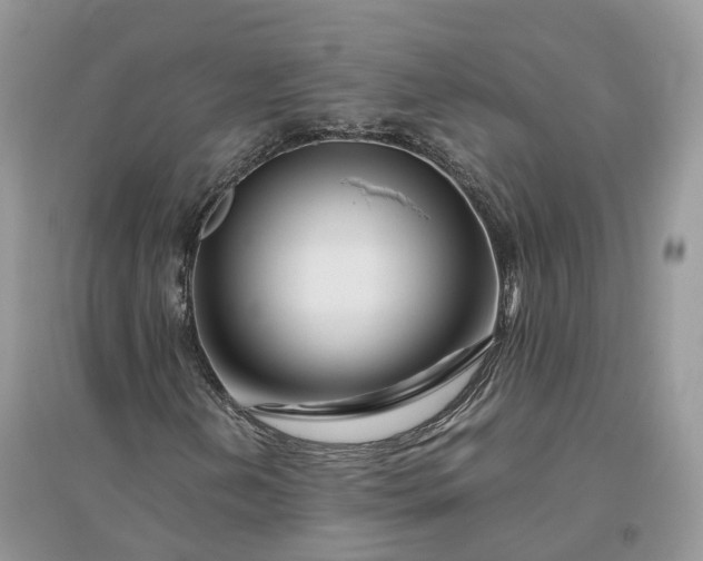 X0000096191202200802011359