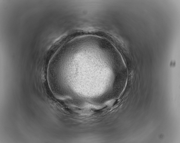 X0000096191205200802011359