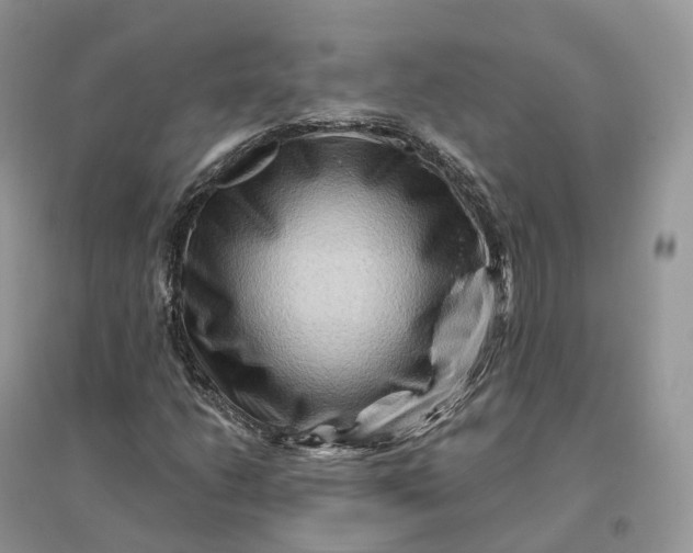 X0000096191206200802011359