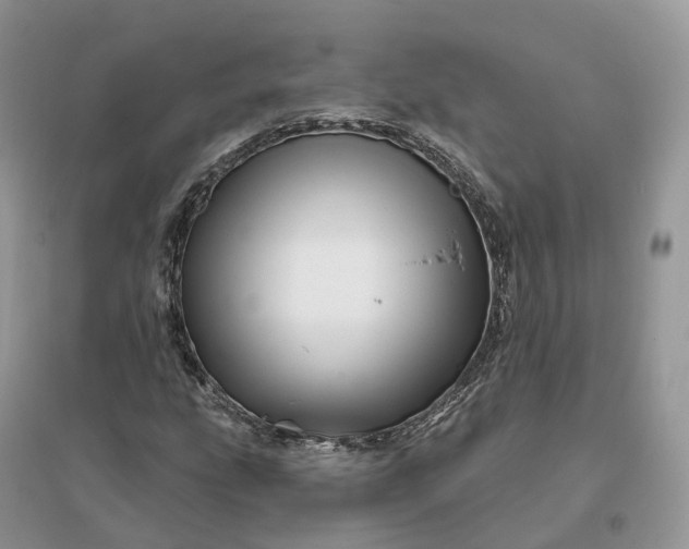 X0000096191207200802011359