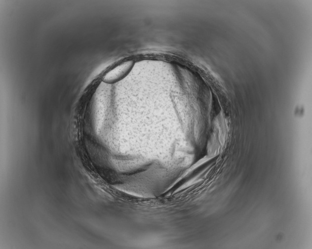 X0000096191208200802011359