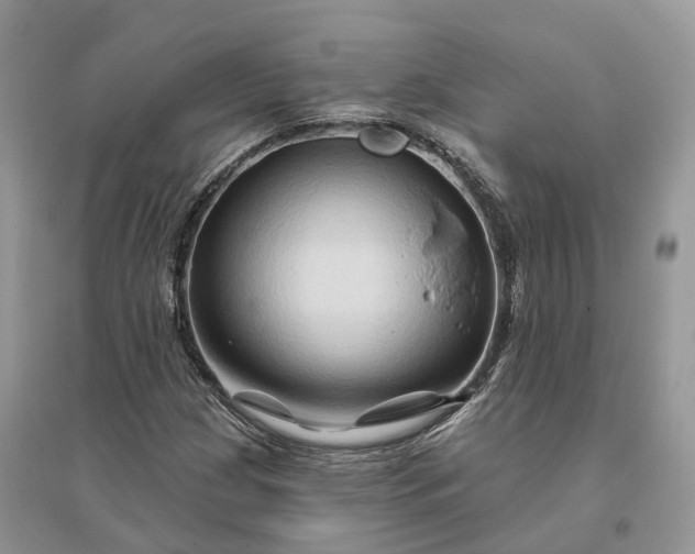 X0000096191209200802011359