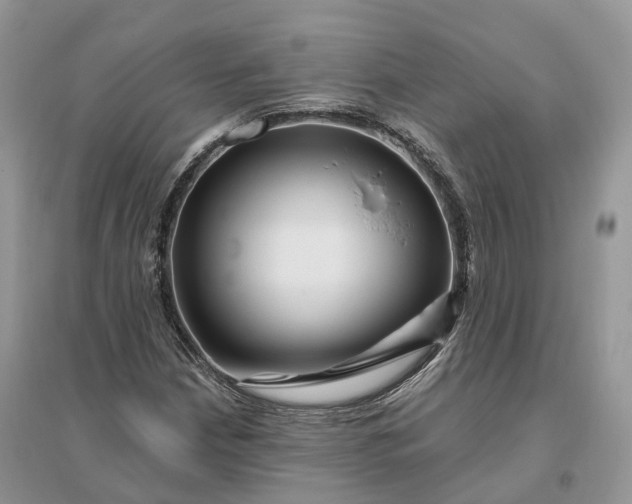 X0000096191210200802011359