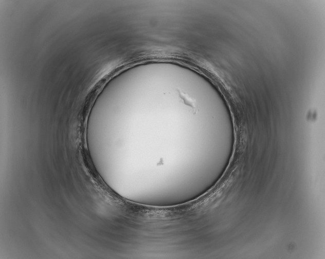 X0000096191211200802011359