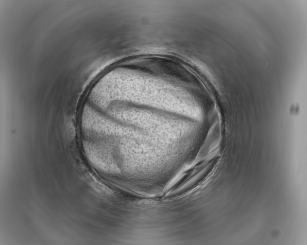 X0000096191212200802011359