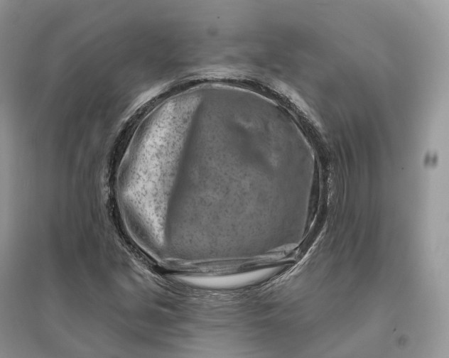 X0000096191213200802011359