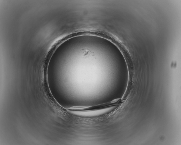 X0000096191214200802011359