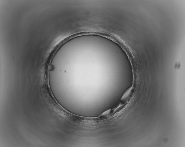 X0000096191215200802011359