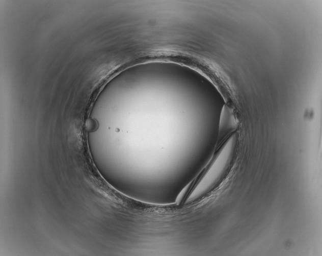 X0000096191217200802011359