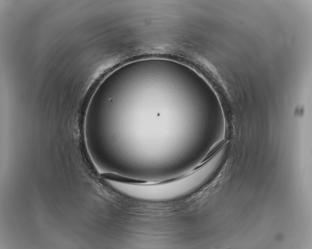 X0000096191218200802011359