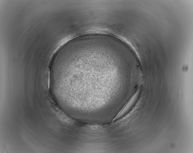 X0000096191219200802011359