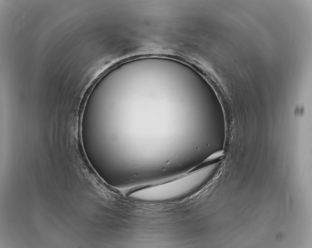 X0000096191220200802011359