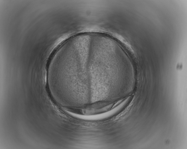 X0000096191221200802011359