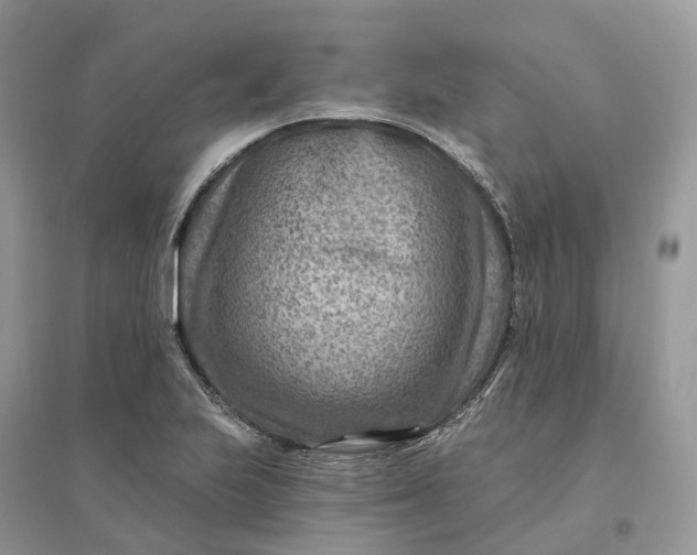 X0000096191223200802011359