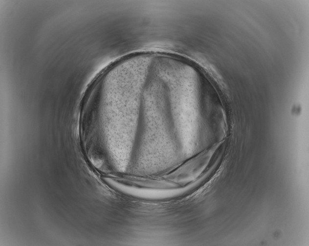 X0000096191224200802011359