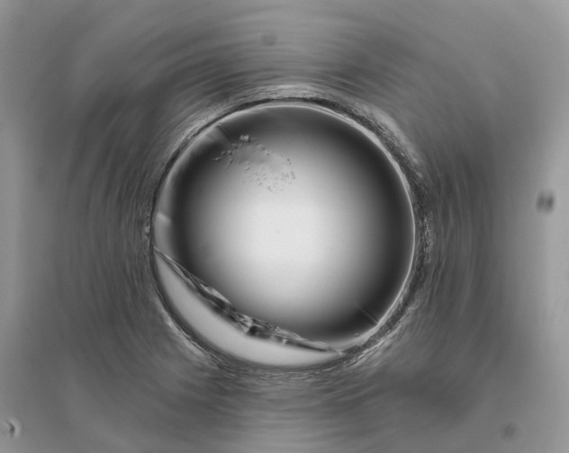 X0000096191225200802011359