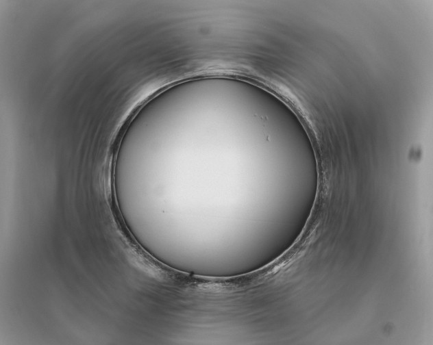 X0000096191227200802011359