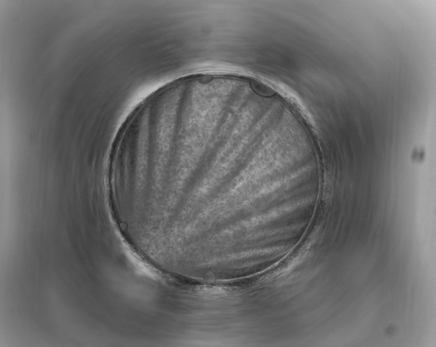 X0000096191231200802011359