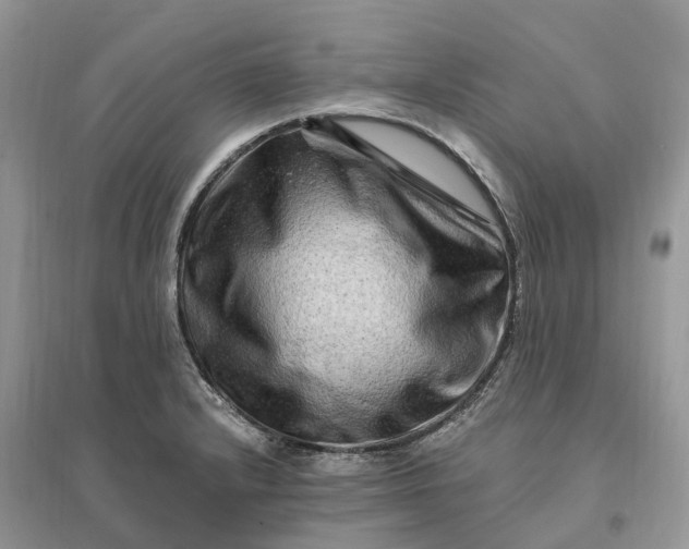 X0000096191232200802011359