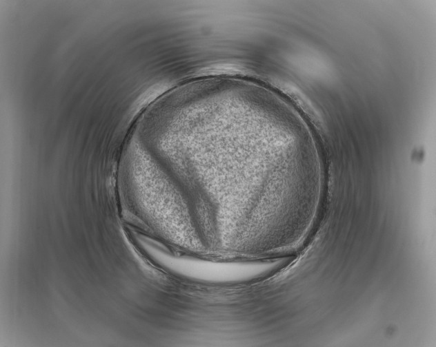 X0000096191233200802011359