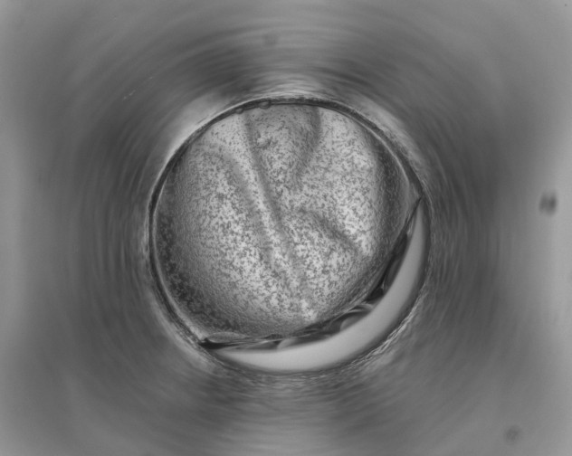 X0000096191234200802011359