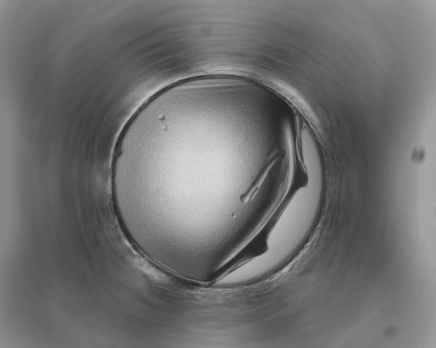 X0000096191236200802011359