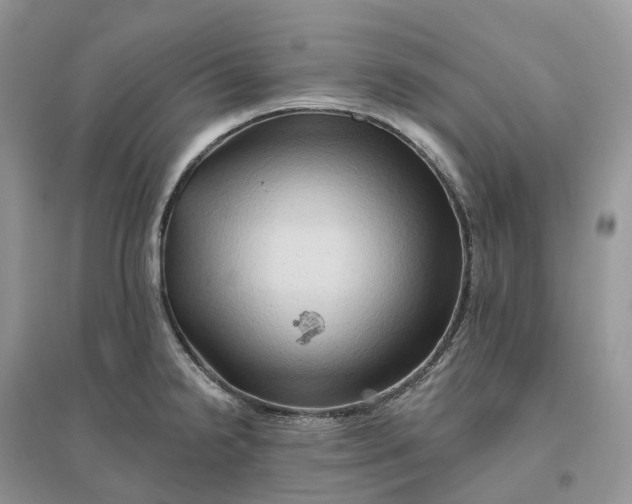 X0000096191238200802011359