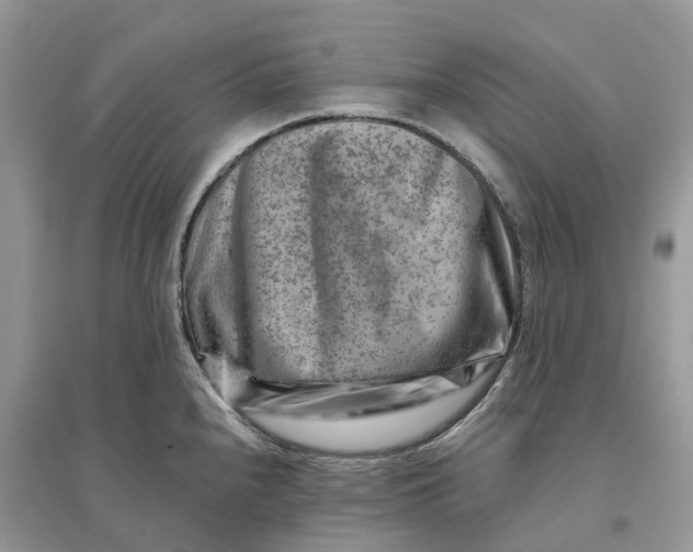 X0000096191240200802011359