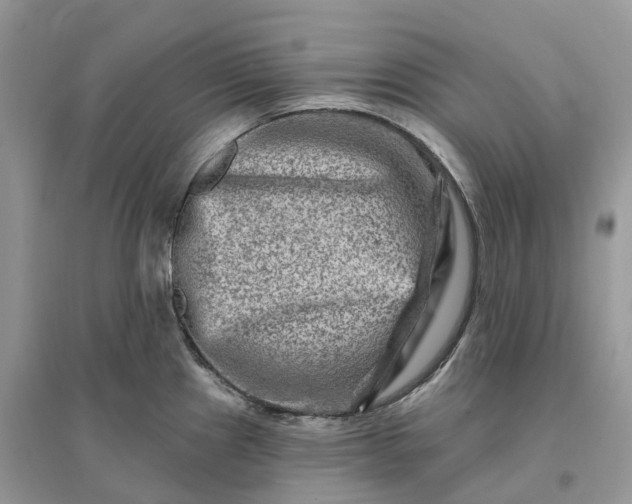 X0000096191241200802011359