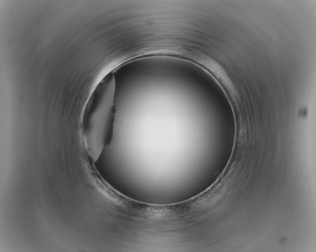 X0000096191242200802011359