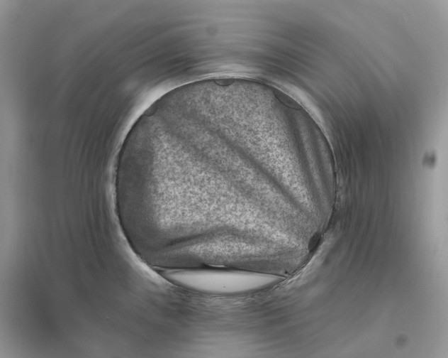 X0000096191243200802011359