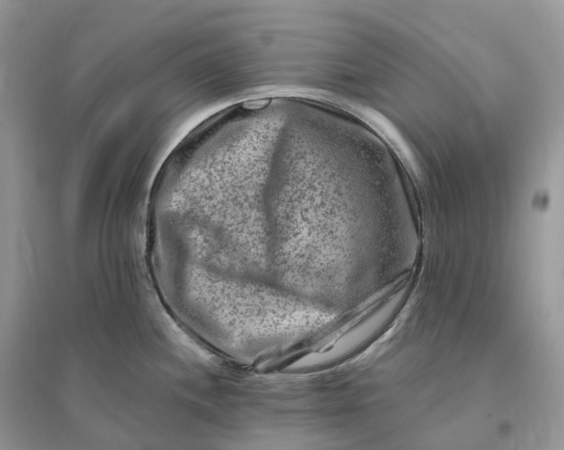 X0000096191244200802011400