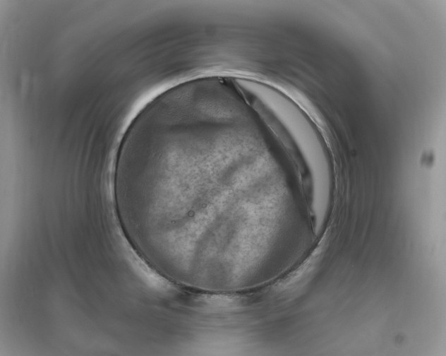 X0000096191246200802011400