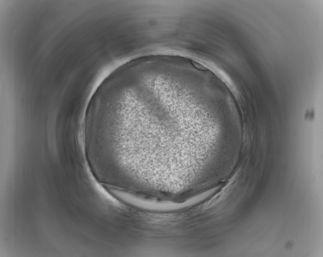 X0000096191247200802011400