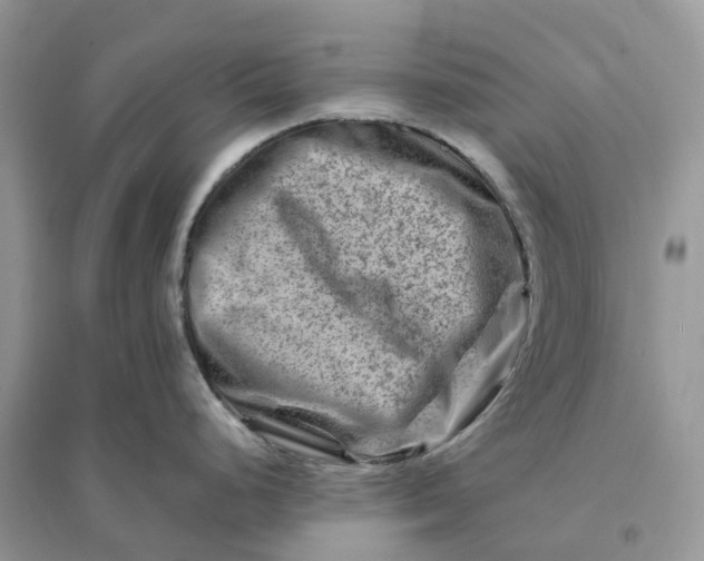 X0000096191248200802011400