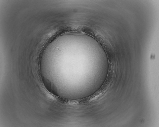 X0000096191249200802011359